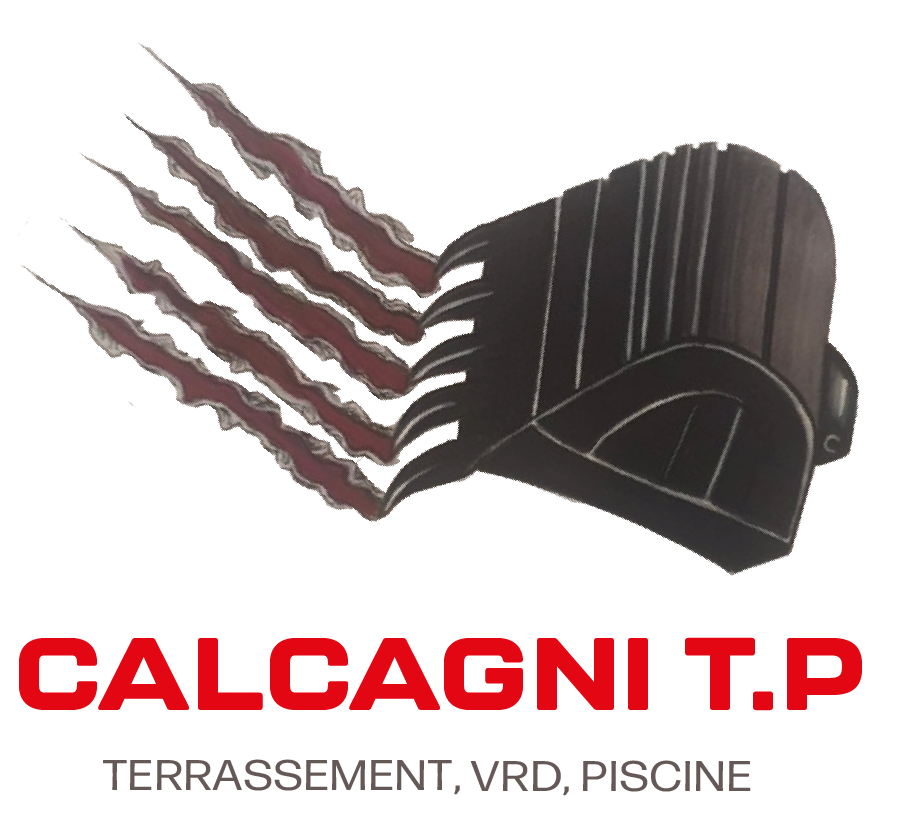 Logo calcagni